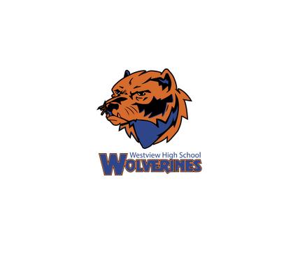 [CUS-STK-VC-3IN-LOGO3] Team Stickers (3in, Logo 3)