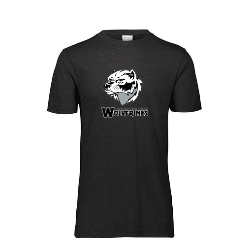 [FTSCUBBK-AS-LOGO2] Decker Men's Tri-Blend T-Shirt - Short Sleeve (Adult S, Black, Logo 2)